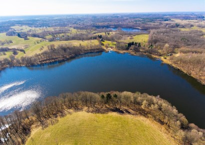 działka na sprzedaż - Ostrowice, Borne, Jutrosin