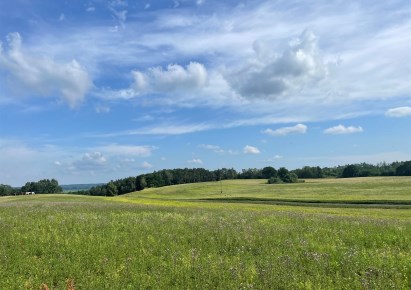 działka na sprzedaż - Kołbaskowo, Moczyły