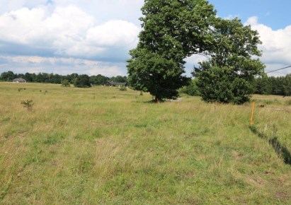 działka na sprzedaż - Dobra (Szczecińska), Łęgi