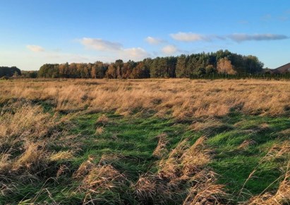 działka na sprzedaż - Dobra (Szczecińska), Dobra