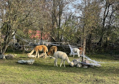 działka na sprzedaż - Kołbaskowo, Bobolin