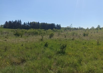 działka na sprzedaż - Dobra (Szczecińska), Dołuje