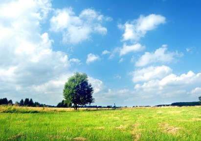 działka na sprzedaż - Wolin (gw), Płocin