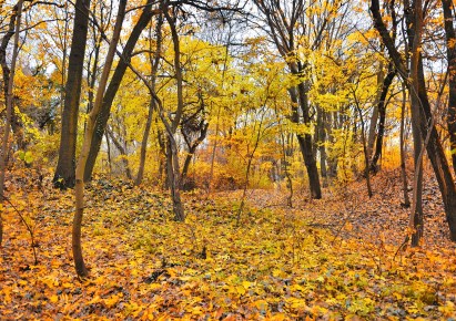 działka na sprzedaż - Szczecin, Bezrzecze