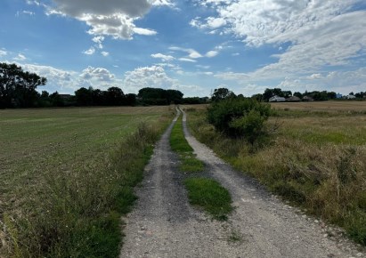 działka na sprzedaż - Kołbaskowo, Warzymice