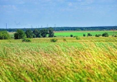 działka na sprzedaż - Goleniów