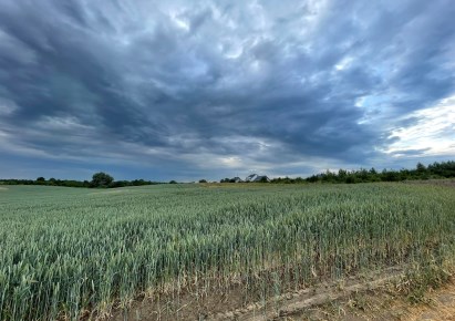 działka na sprzedaż - Gryfino